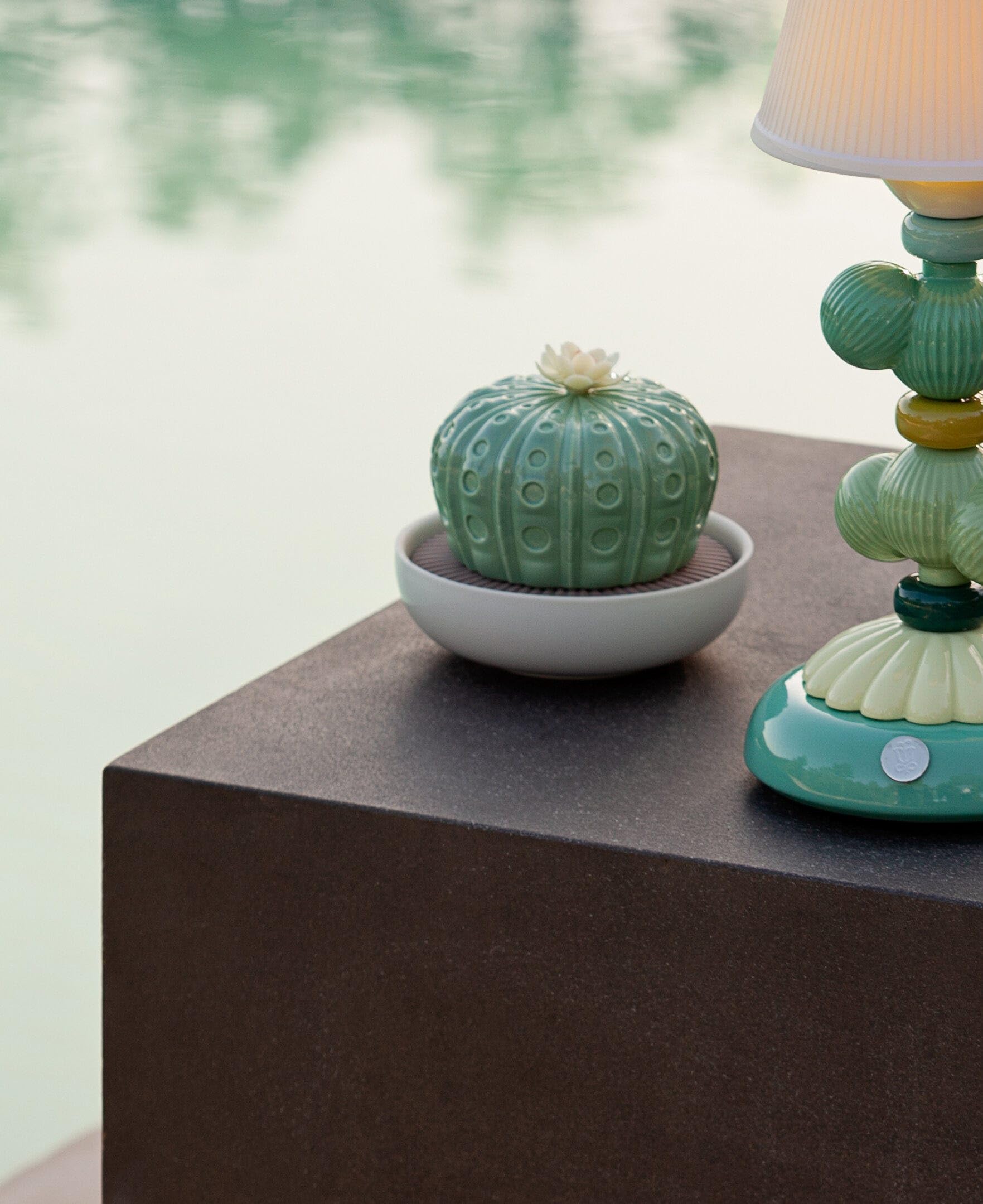 LLADRÓ Astrophytum Cactus Essential Oil Diffuser - Porcelain Aroma Diffuser with Gardens of Valencia Scent for Home Decor, Spa Relaxation & Aromatherapy