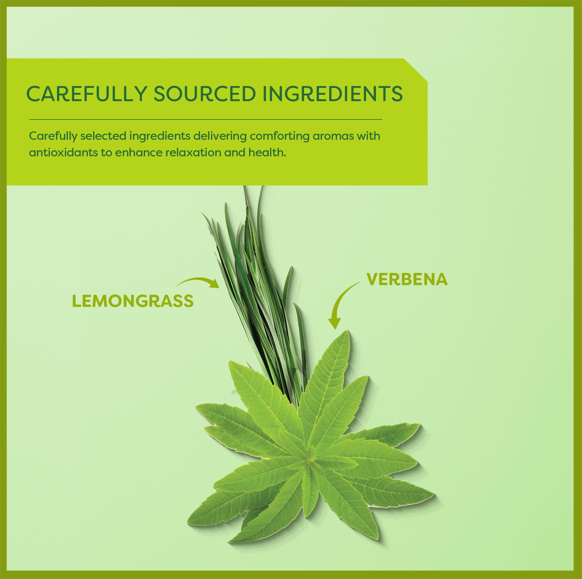 Wissotzky Lemongrass & Verbena Green Tea Bags - 20 Count | Antioxidant-Rich Herbal Tea with Soothing Citrus Aroma | Perfect for Relaxation, Afternoon Boost & Detox | Refreshing Caffeine-Free Beverage for Home or Office