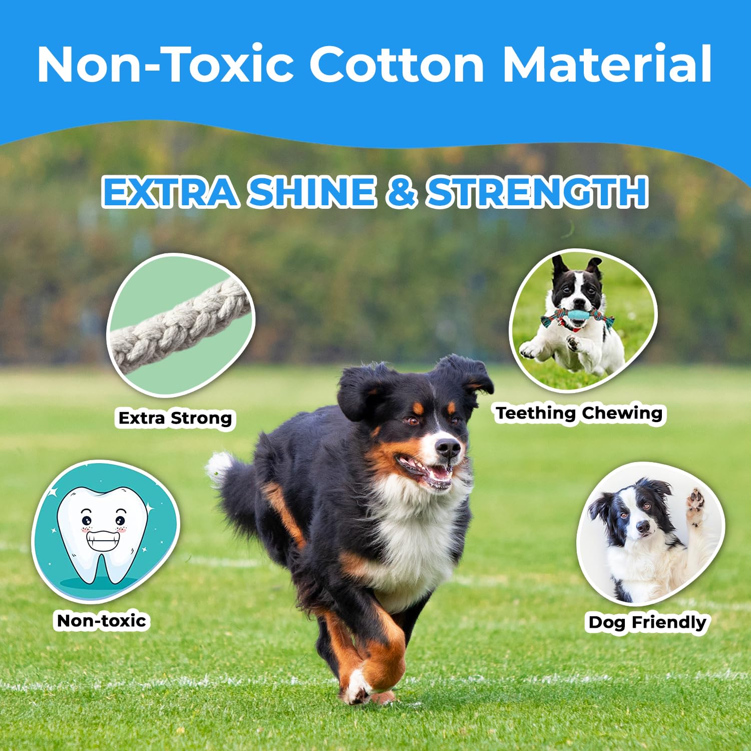 **Sturdy Small Dog Rope Toys - 14-Pack Non-Toxic Cotton Chew Toys for Puppies & Medium Dogs - Interactive Teething & Anxiety Relief - Durable for Indoor & Outdoor Play**