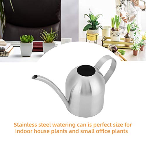 Premium Stainless Steel Watering Can for Indoor Plants - 500ML Modern Design with Long Spout - Perfect for Houseplants, Gardens, and Home Decor