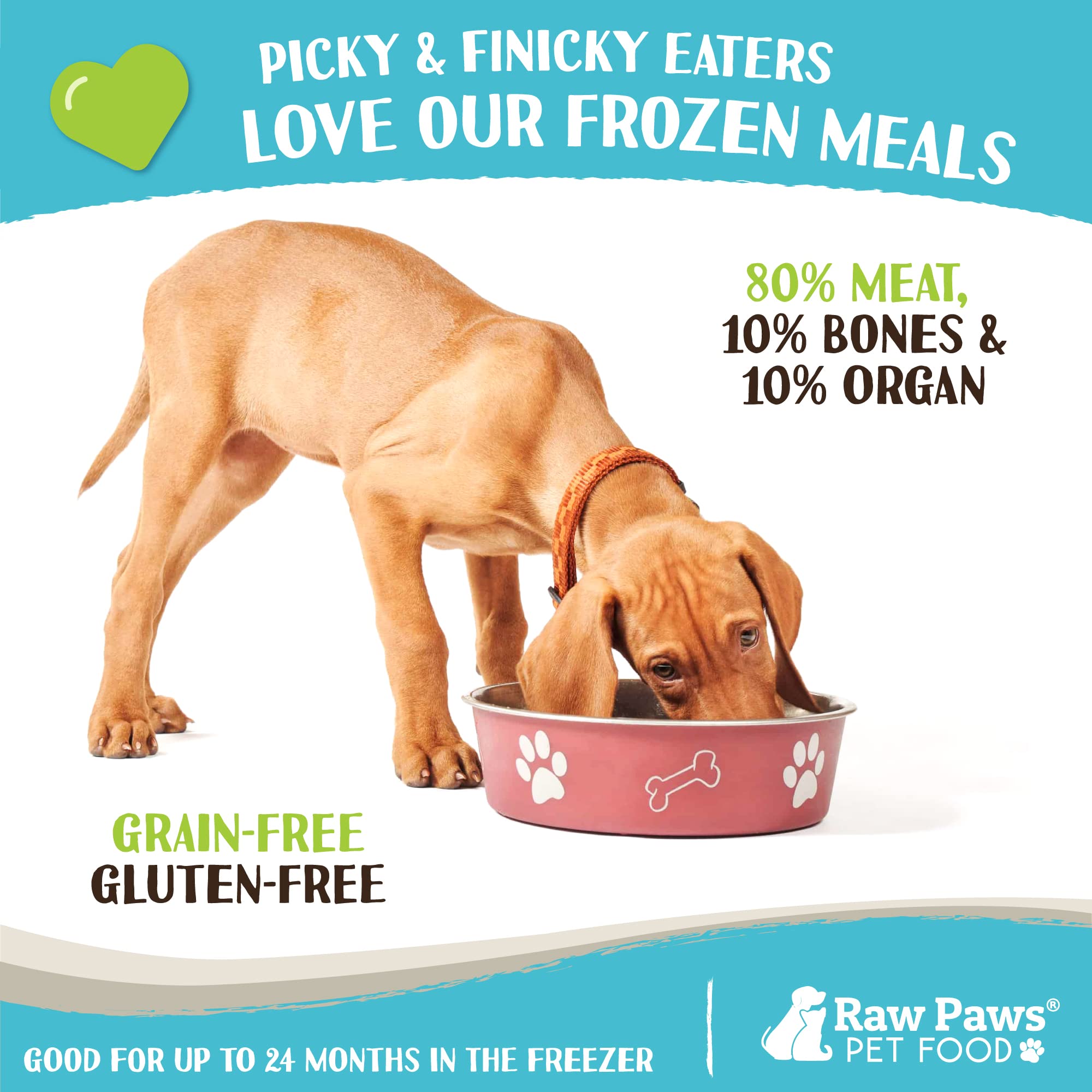 Raw Paws Signature Blend Frozen Turkey Recipe Pet Food for Dogs & Cats - 20 Pack (1-lb Rolls) | USA Made Raw Dog Food | Perfect for Meal Prep & Training Treats | High Protein Natural Diet for Puppies & Adult Pets