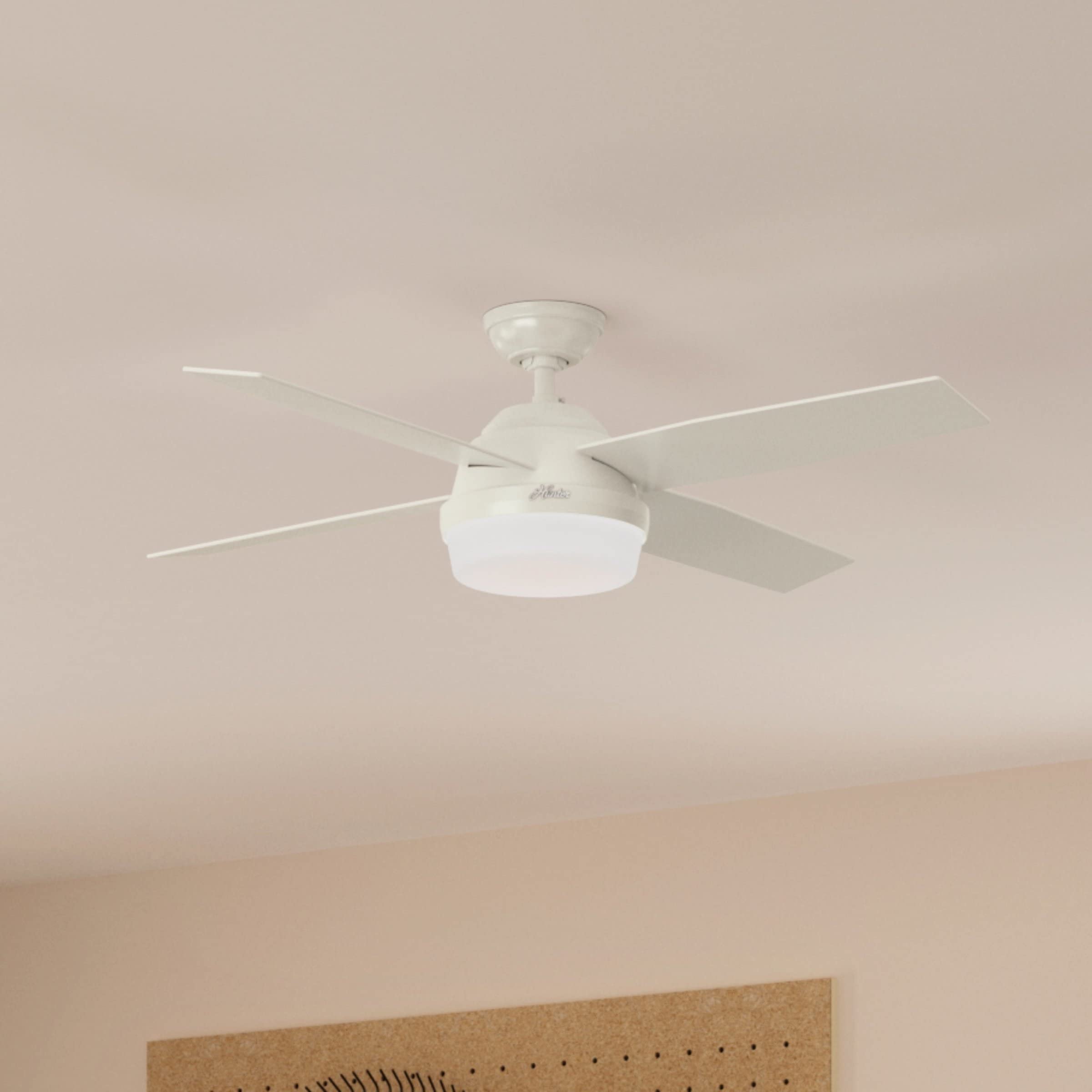 Hunter Fan Company Dempsey 52