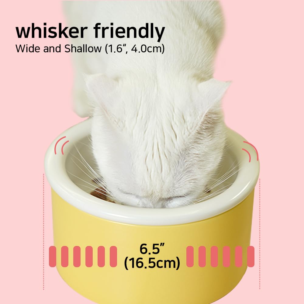 **Raised Cat & Dog Bowls Set - 6.5