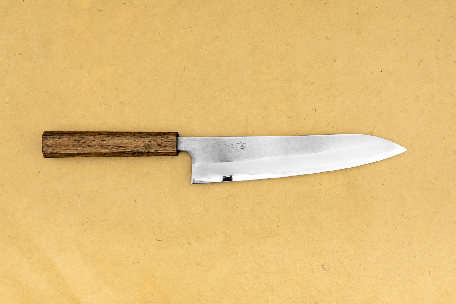 Premium Tsunehisa Shiroichi Stainless Steel Gyuto Chef Knife 210mm - Japanese Wa Handle, Professional Kitchen Knife for Slicing, Dicing & Chopping - Perfect for Home Cooks & Chefs