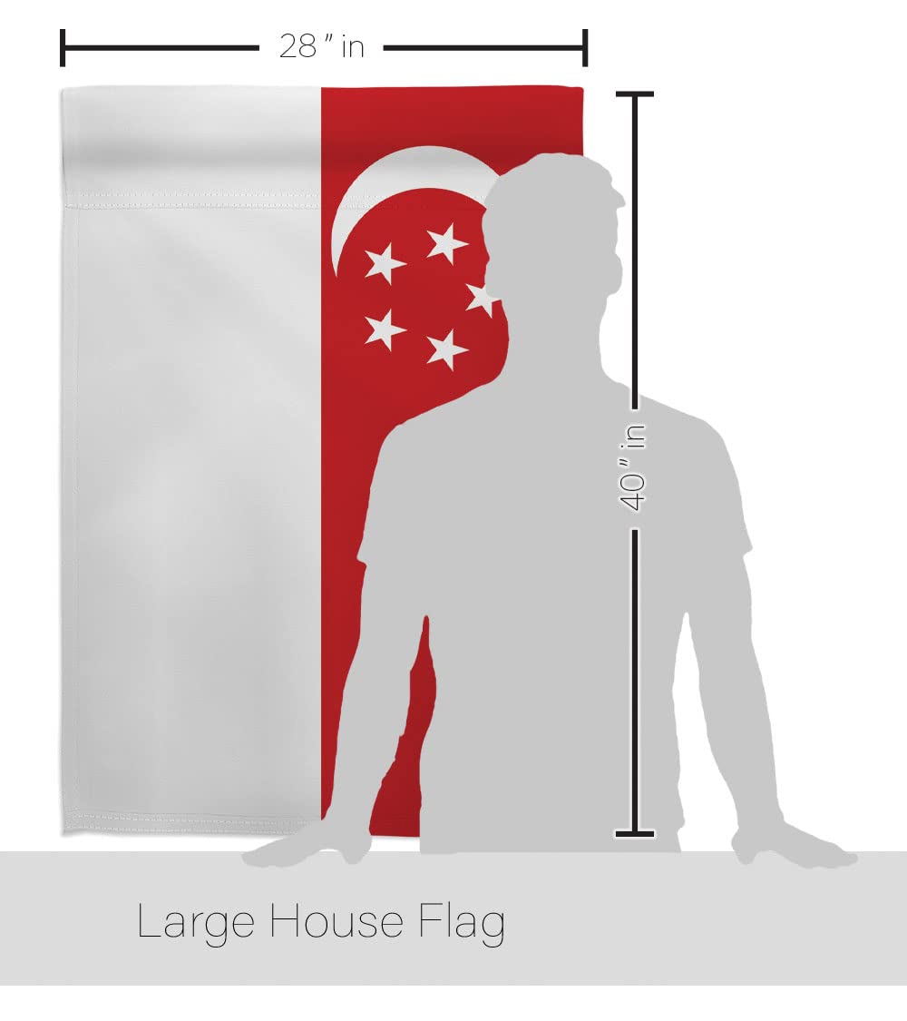 Singapore Nationality House Flag Set 28