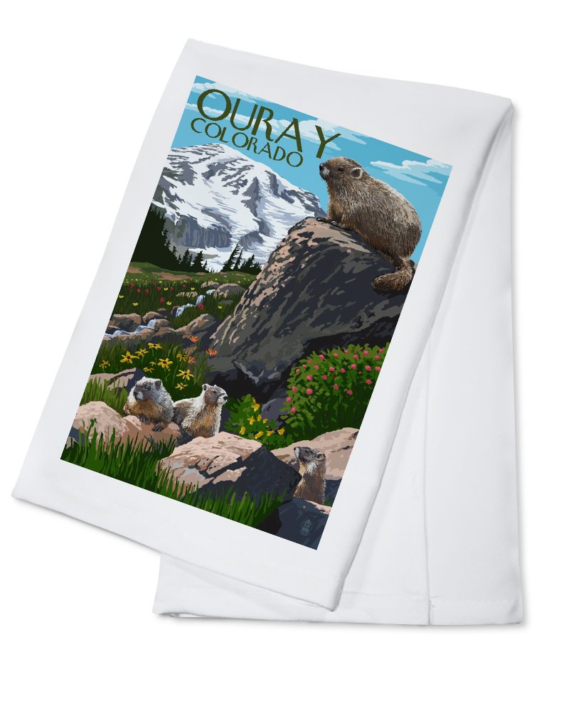 Ouray Colorado Marmots 100% Cotton Tea Towel - Decorative Hand Towel for Kitchen & Home - Perfect for Dish Drying, Gift Giving & Cabin Decor