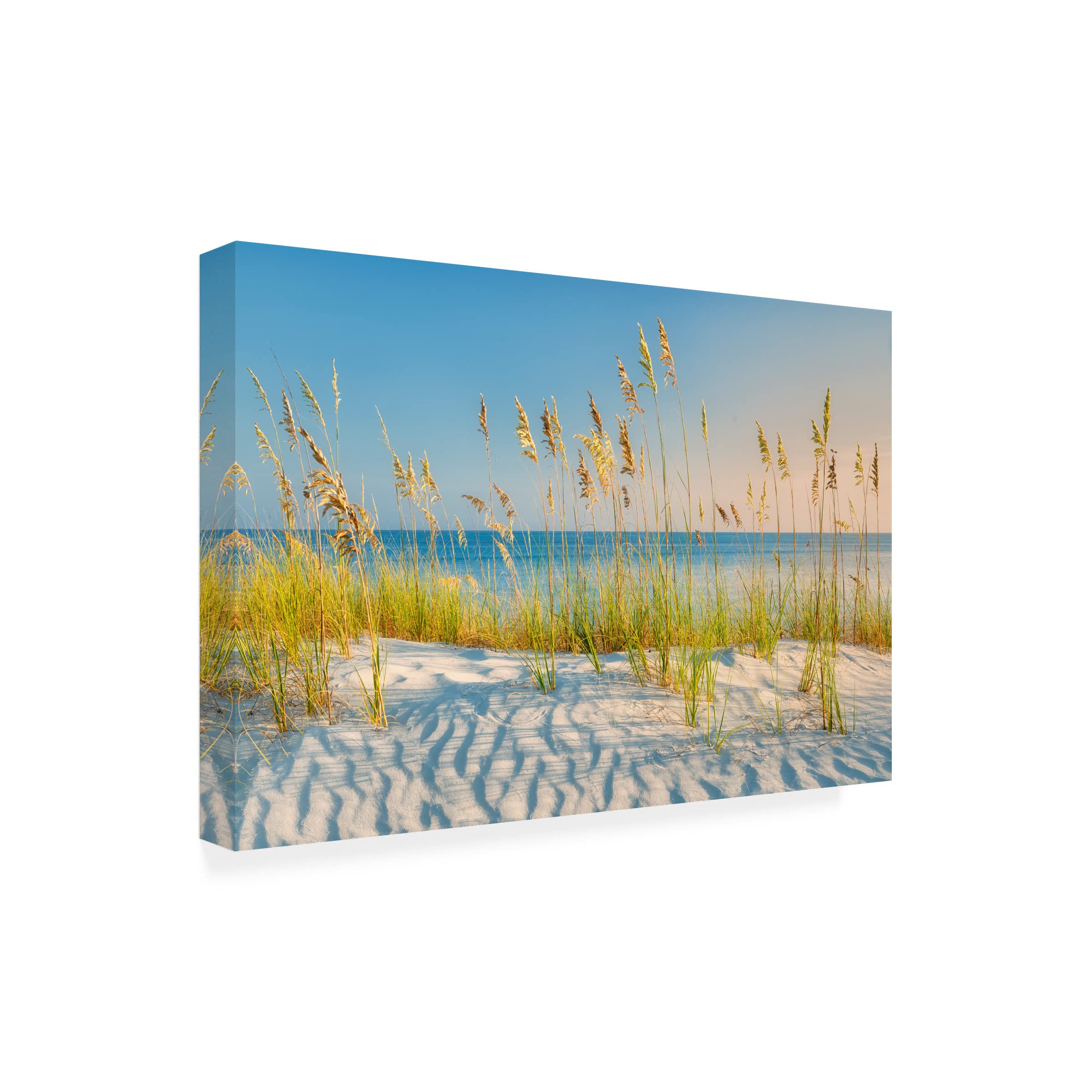 Dennis Frates 'Sea Oat Grass 2' Canvas Wall Art Print - Coastal Beach Decor for Living Room, Bedroom & Office