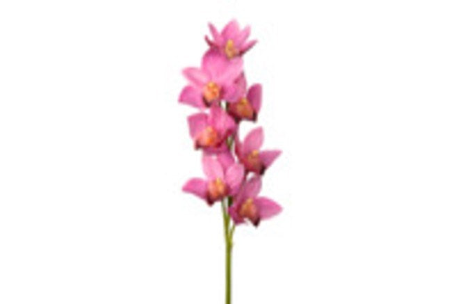 Real Touch Orchid Cymbidium - Light Purple Artificial Silk Flower for Home Decor, Wedding Centerpieces & Office Arrangements