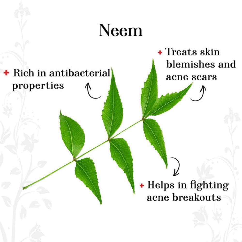 Bindian Pure Rose, Orange Peel, Neem & Aloe Vera Powder Face Mask - Natural Skin Care for Deep Pore Cleansing & Glowing Complexion (50x4 gm) | DIY Facial Treatment for Acne, Blackheads & Dry Skin