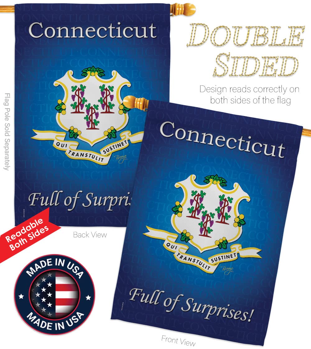 Connecticut Americana House Flag Set 28x40