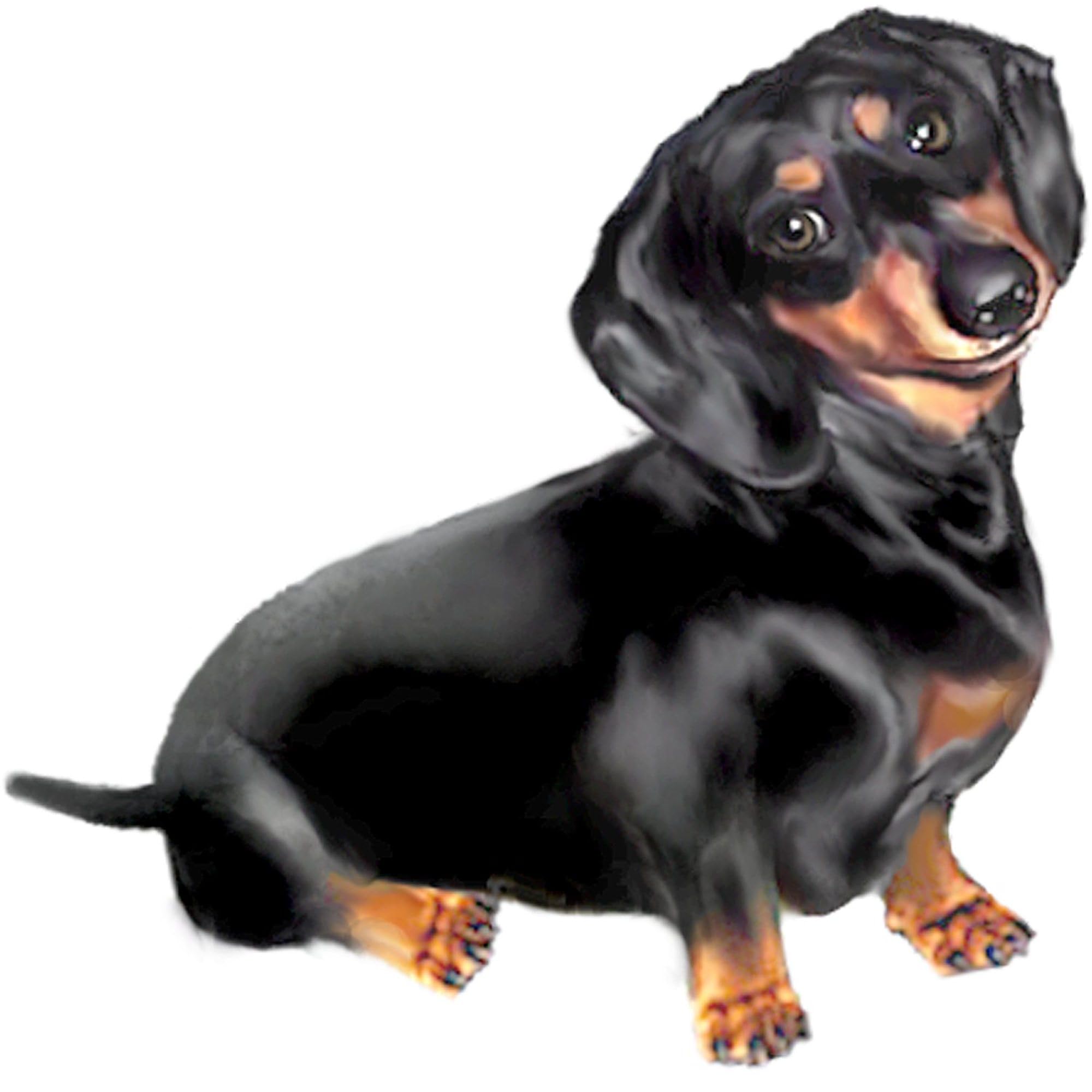 Black Tan Dachshund Square Sticker 3x3 Inch - Durable Car Bumper Decal for Vehicles, Laptops & Water Bottles - Funny Dog Lover Gift for Pet Owners