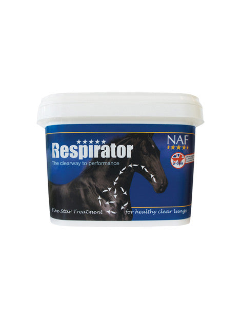 N95 Respirator Mask - 10 Pack, NIOSH Certified for Dust, Pollen & Pollution Protection - Ideal for Construction, Woodworking & Outdoor Activities