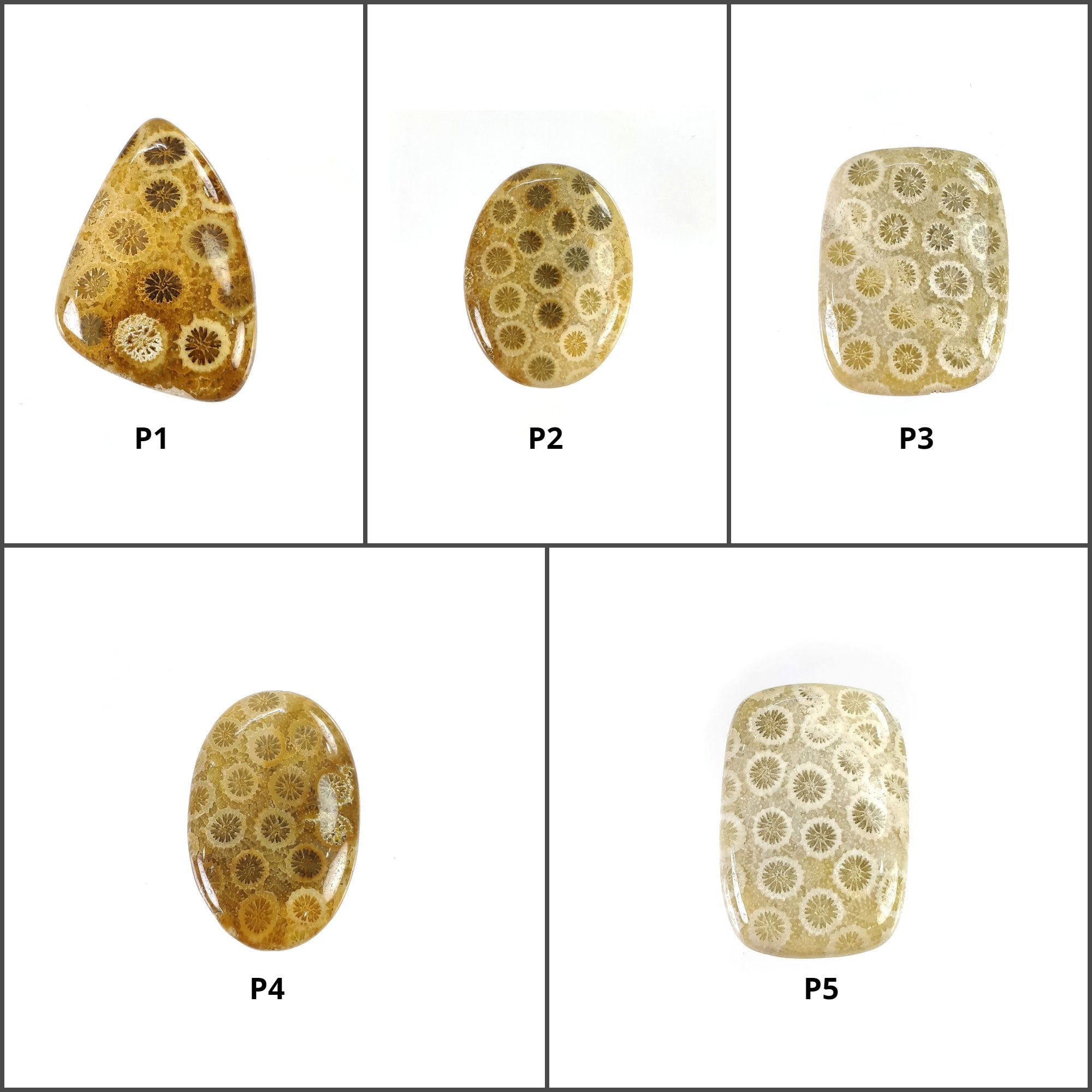 Natural Untreated FOSSIL Coral Gemstone Cabochon - Unheated Oval Cushion Shape for Jewelry Making, Wire Wrapping & Healing Crystal Collection