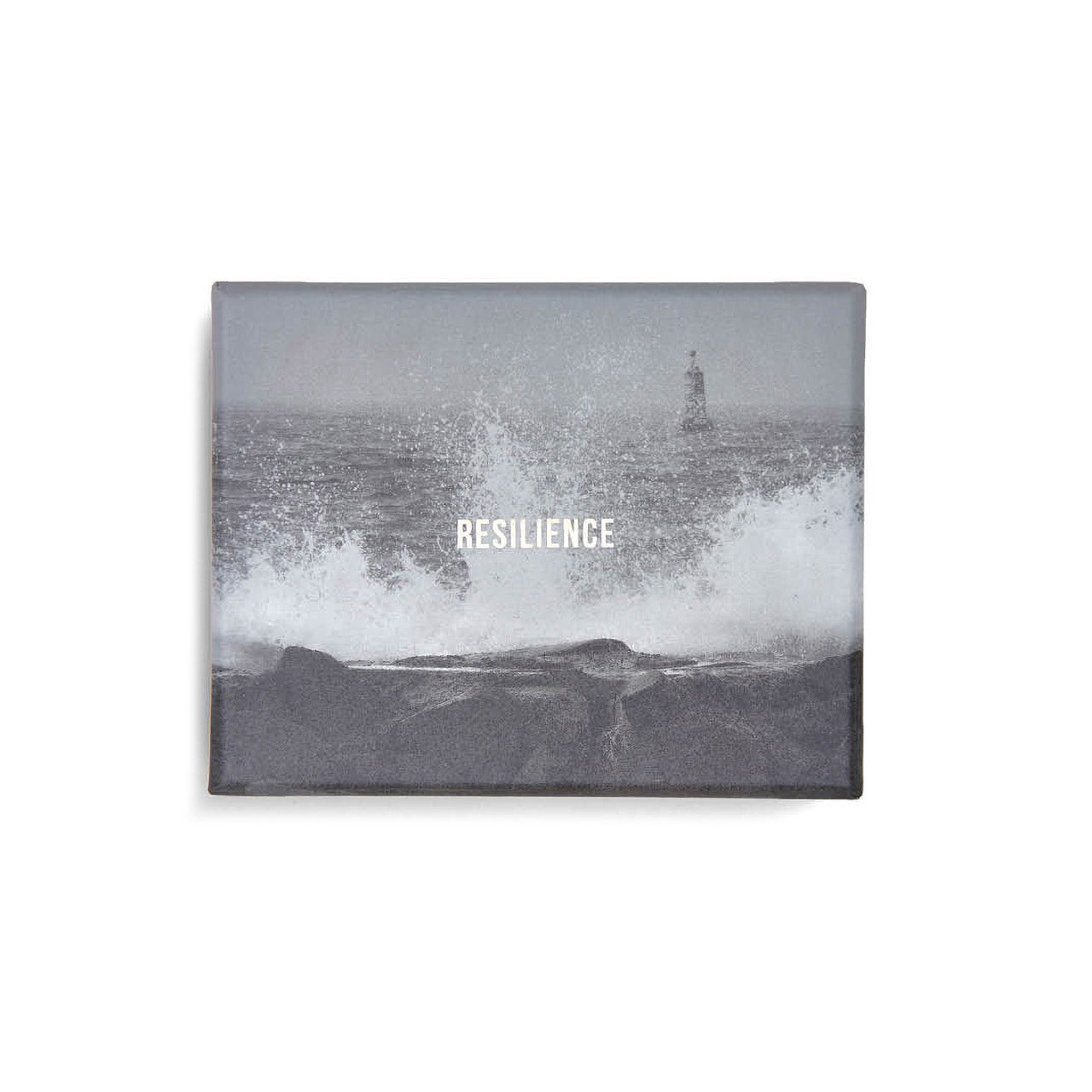 The School of Life Resilience - Emotional Strength & Personal Growth Guide | Self-Improvement Books for Overcoming Challenges | Perfect for Therapy, Coaching & Life Transitions