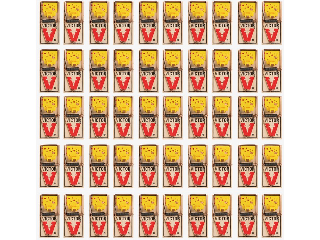Victor EZ Set Mouse Trap (Pack of 50) - Humane & Effective Rodent Control for Home, Garage & Basement - Easy to Use & Reusable Mouse Catcher