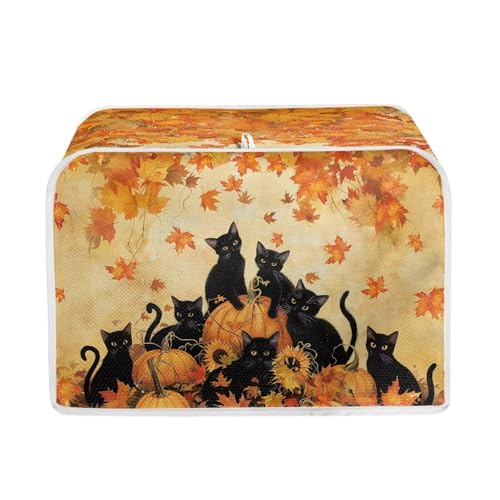 Pumpkin Cat Maple