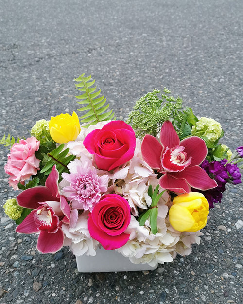 Mother's Day Signature Colorful Gifts - Perfect for Mom's Birthday, Anniversary & Special Occasions | Thoughtful Presents for Her