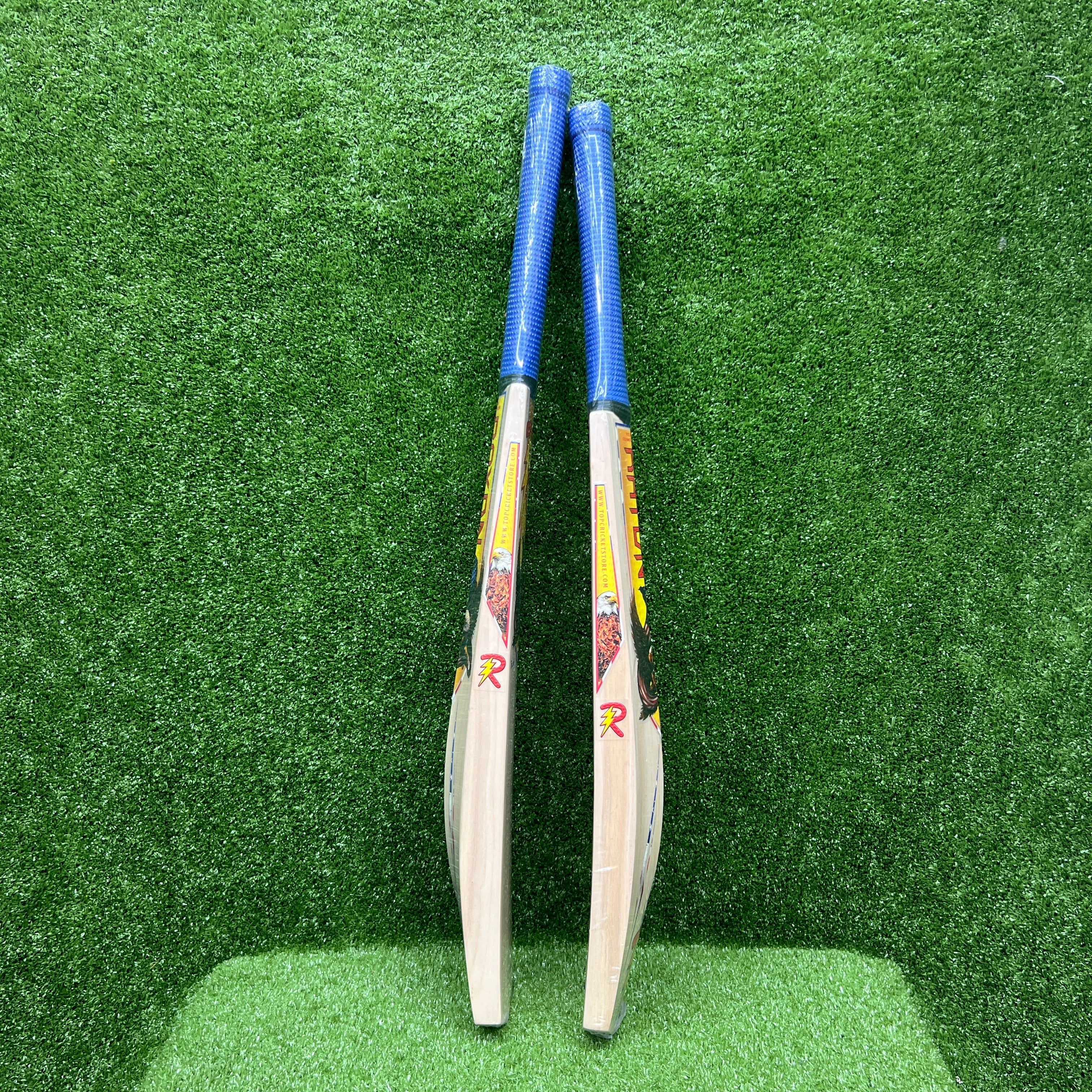 RAYDN Eagle Junior/Youth Kashmir Willow Cricket Bat - Surya Kumar Yadav Edition | Premium Quality for Young Players | Perfect for Cricket Practice & Matches