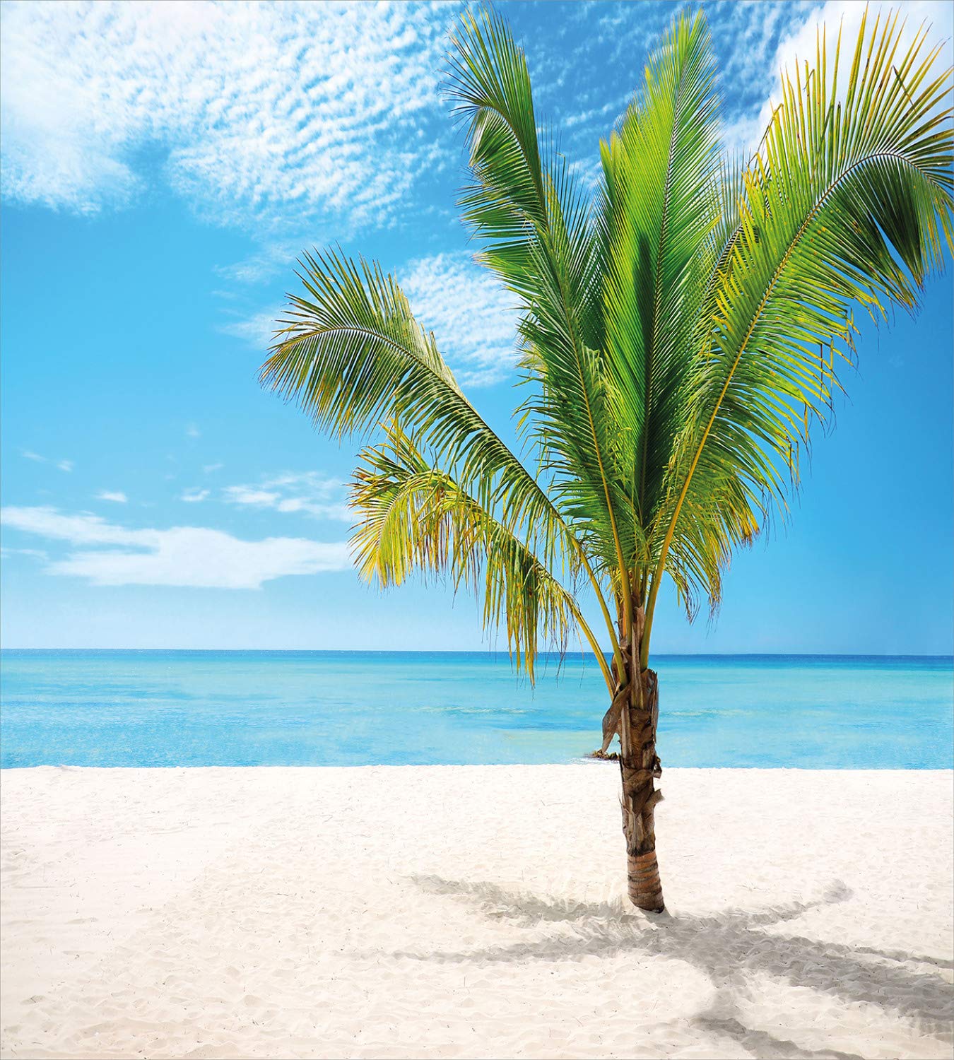 Ambesonne Tropical Duvet Cover Set - Exotic Beach Palm Tree Photo Bedding, 2-Pack Twin Size Blue Cream Green | Coastal Decor for Bedroom, Summer Beach House & Vacation Rental Themes