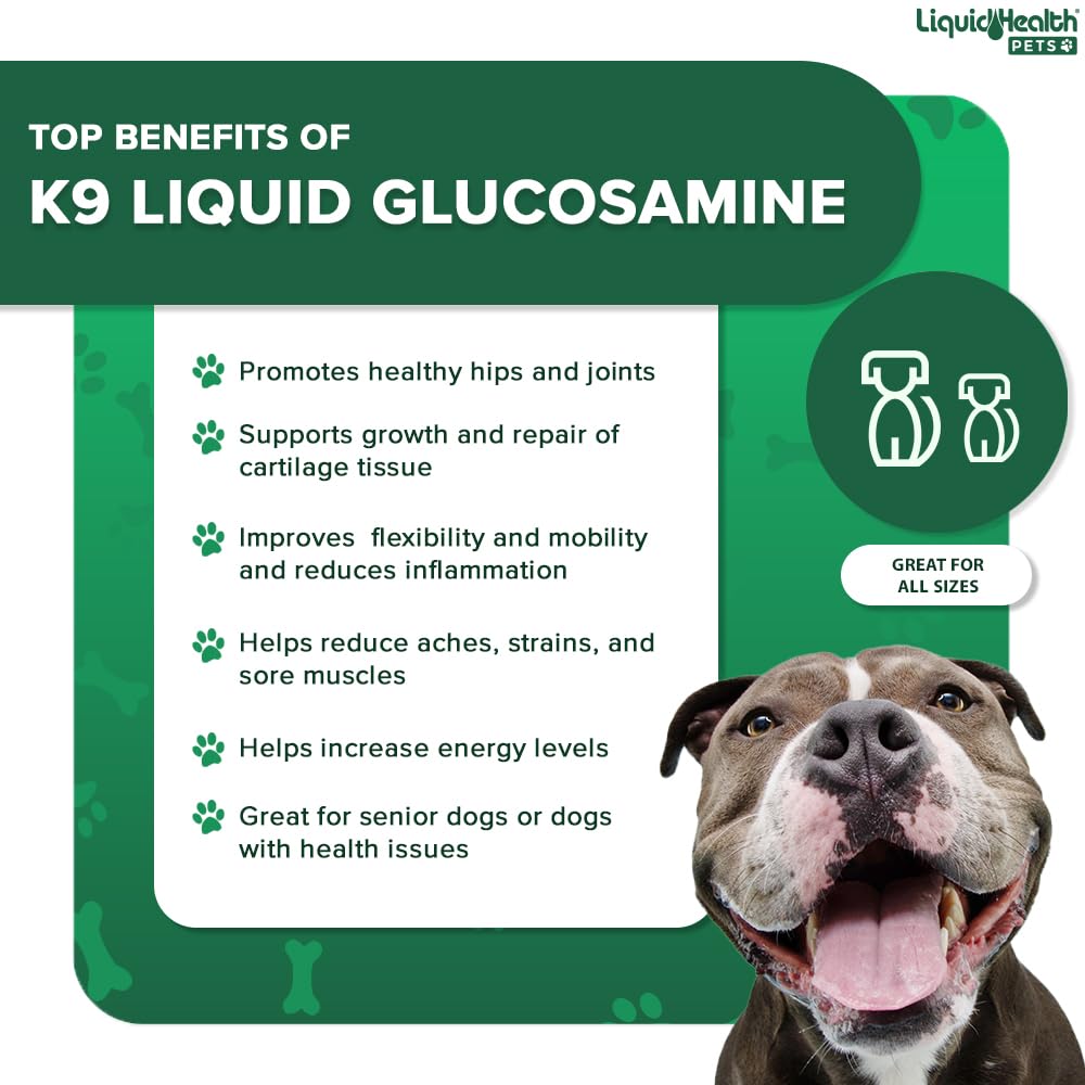 LiquidHealth 128 Oz K9 Liquid Glucosamine for Dogs - Chondroitin, MSM & Hyaluronic Acid Supplement | Supports Hip & Joint Health, Relieves Pain in Puppies & Senior Dogs | Dog Joint Oil Vitamin (1 Gallon) for Active & Aging Pets | Perfect for Daily Use & Post-Exercise Recovery