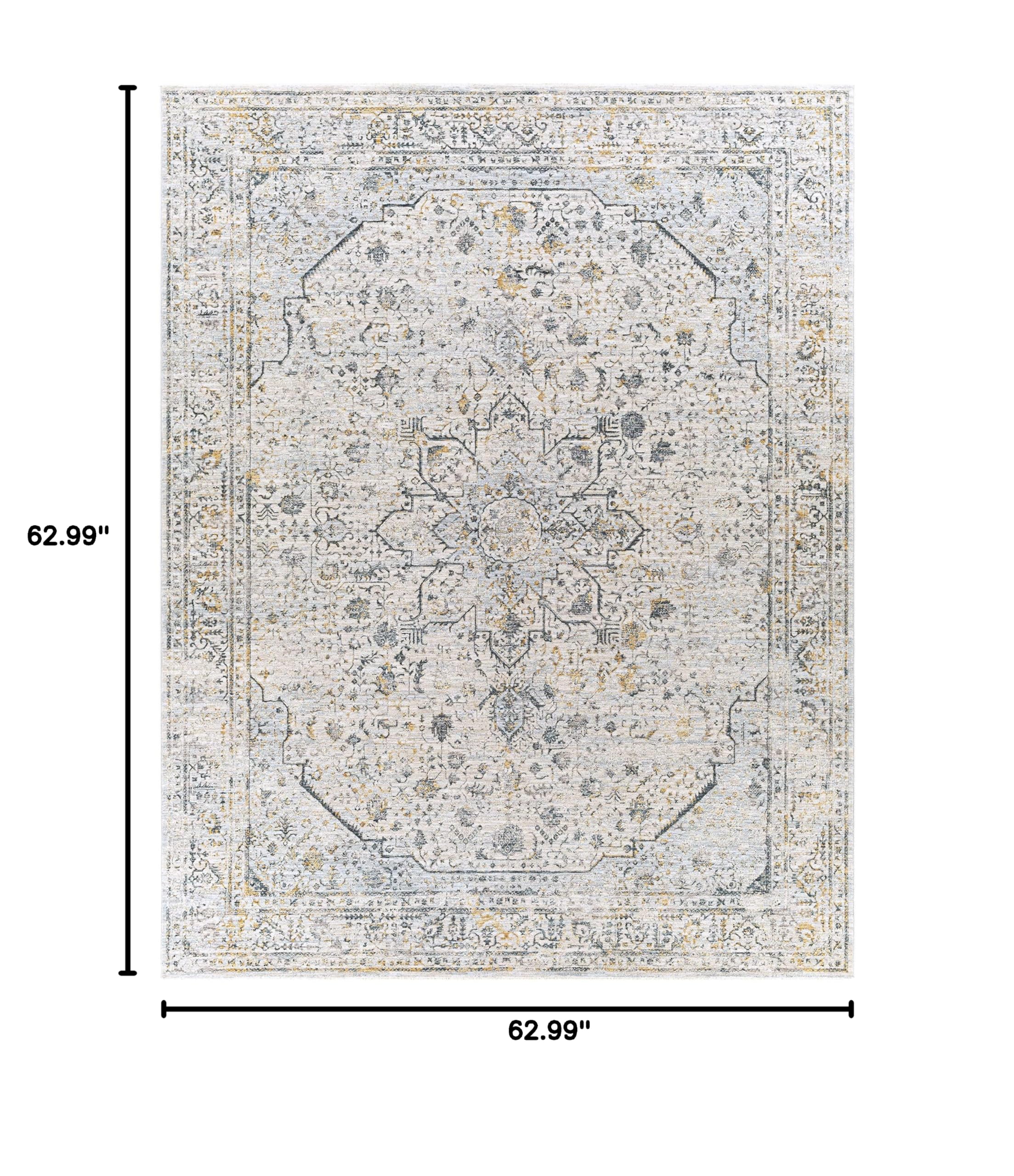 Hauteloom Anmoore Soft Area Rug for Living Room & Bedroom - 5'3