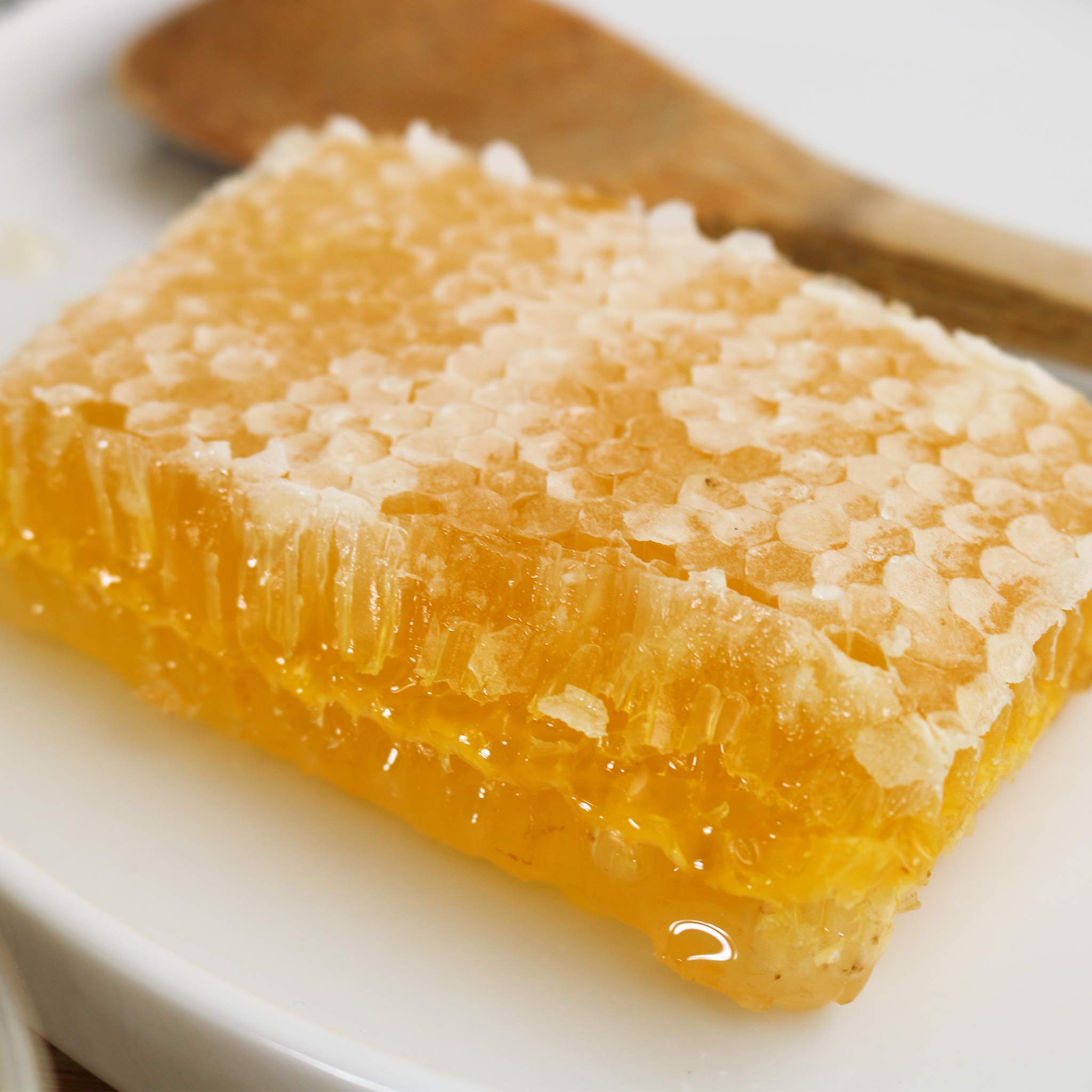 Wild Garden 100% Pure Raw Gourmet Honeycomb - All Natural, No Additives or Preservatives - 7.05oz (Pack of 36) - Perfect for Tea, Cheese Pairing & Healthy Snacks