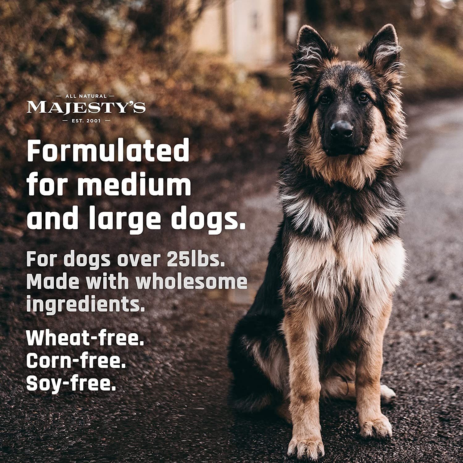 Majesty's Buddy Bites Hip and Joint Wafers for Dogs - Peanut Butter & Coconut Oil Flavor - 2 Pack (112 Count) - Supports Joint Health for Medium & Large Breeds - Perfect for Training Treats and Daily Supplements