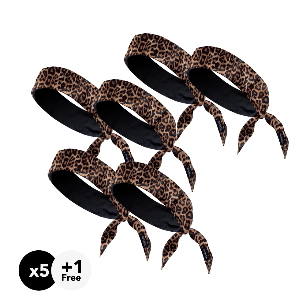 Leopard (6)