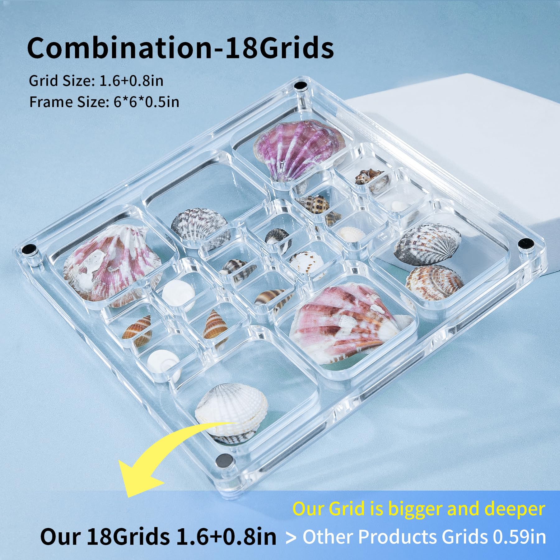 Multi-Style Clear Acrylic Magnetic Seashell Display Box - Shadow Box for Tiny Treasures, Shell Collector Case with Grid Cabinet - Perfect for Beachcombing Finds, Jewelry Display & Home Decor