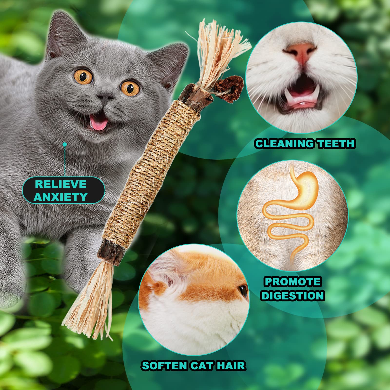 Premium Silvervine Cat Chew Toys - 3 Pack Natural Silvervine Sticks for Indoor Cats, Kitten Teething Toys for Aggressive Chewers, Stress Relief Catnip Toys for All Ages - Perfect for Anxiety Relief, Dental Health & Playtime Fun