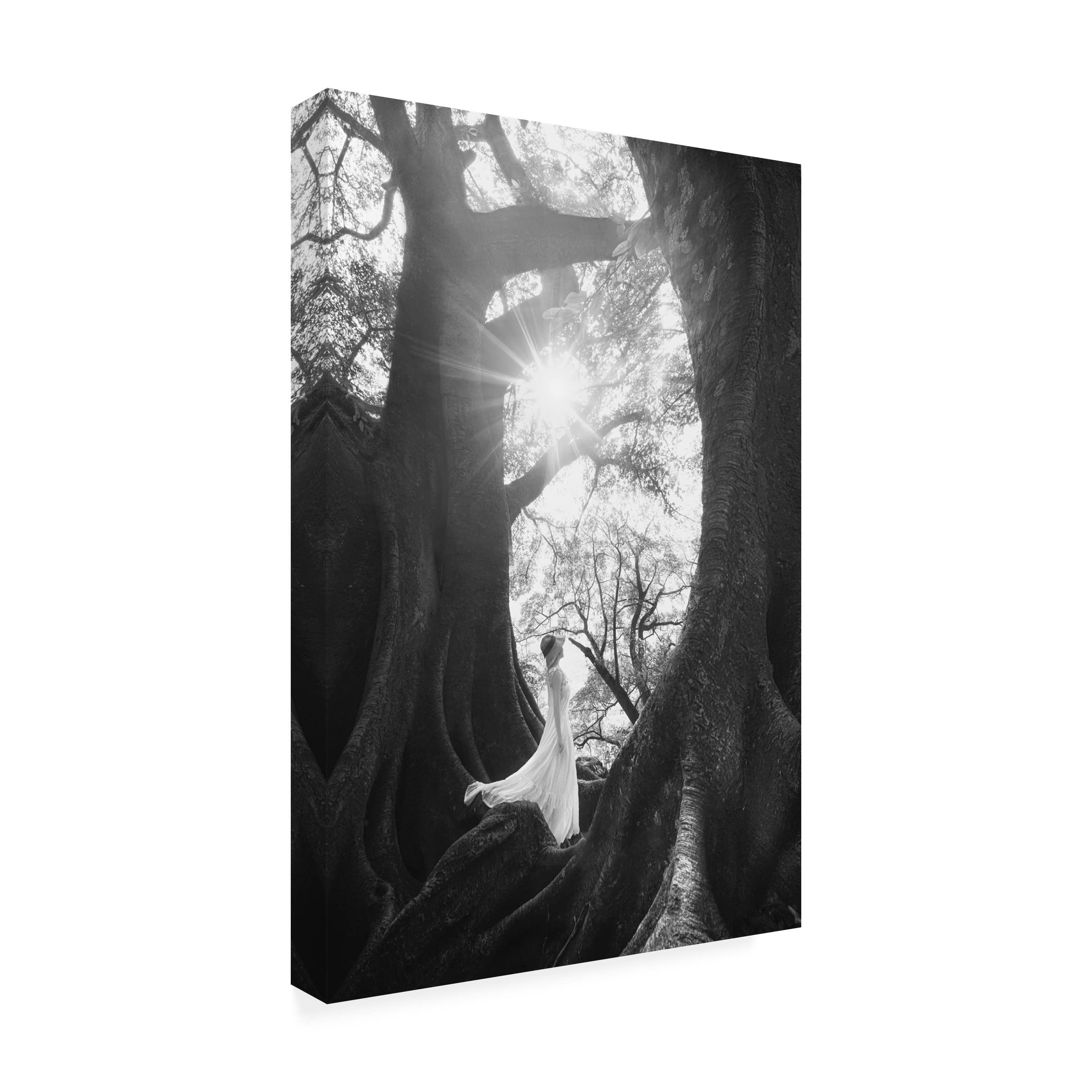 Trademark Fine Art 'The Daughter Of Trees' Canvas Wall Art by Tianqi - Hand-Painted Landscape Painting for Living Room, Bedroom & Office Decor
