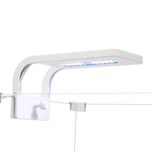Small Aquarium LED Light 10000-12000K - Energy Efficient White & Blue Fish Tank Lighting for Freshwater & Saltwater Aquariums | Perfect for Coral Growth and Planted Tanks