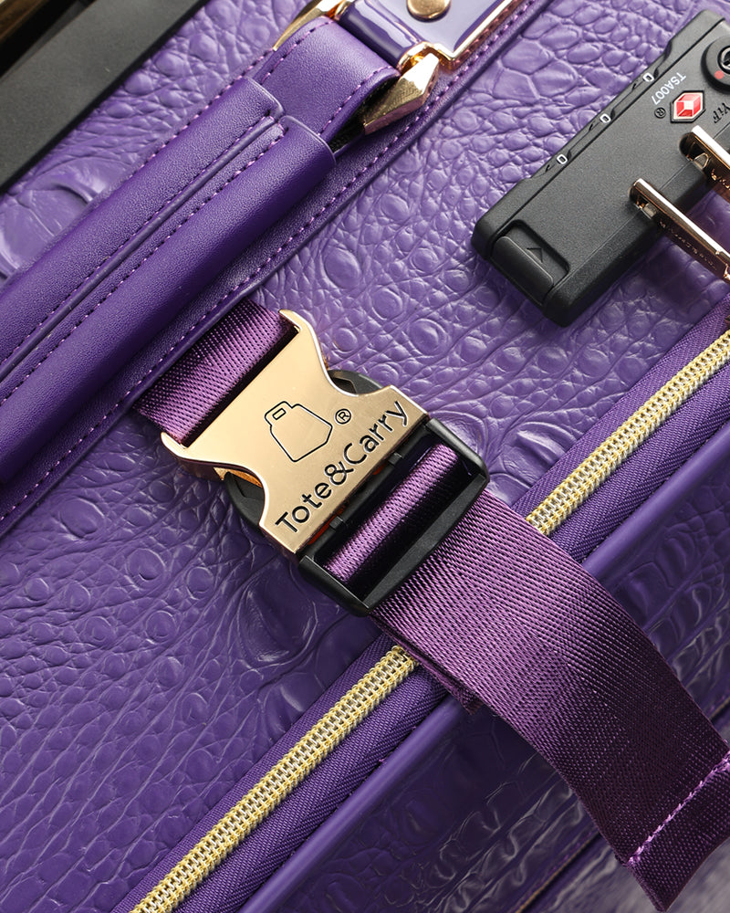 Apollo 2-Piece Luggage Set - 20