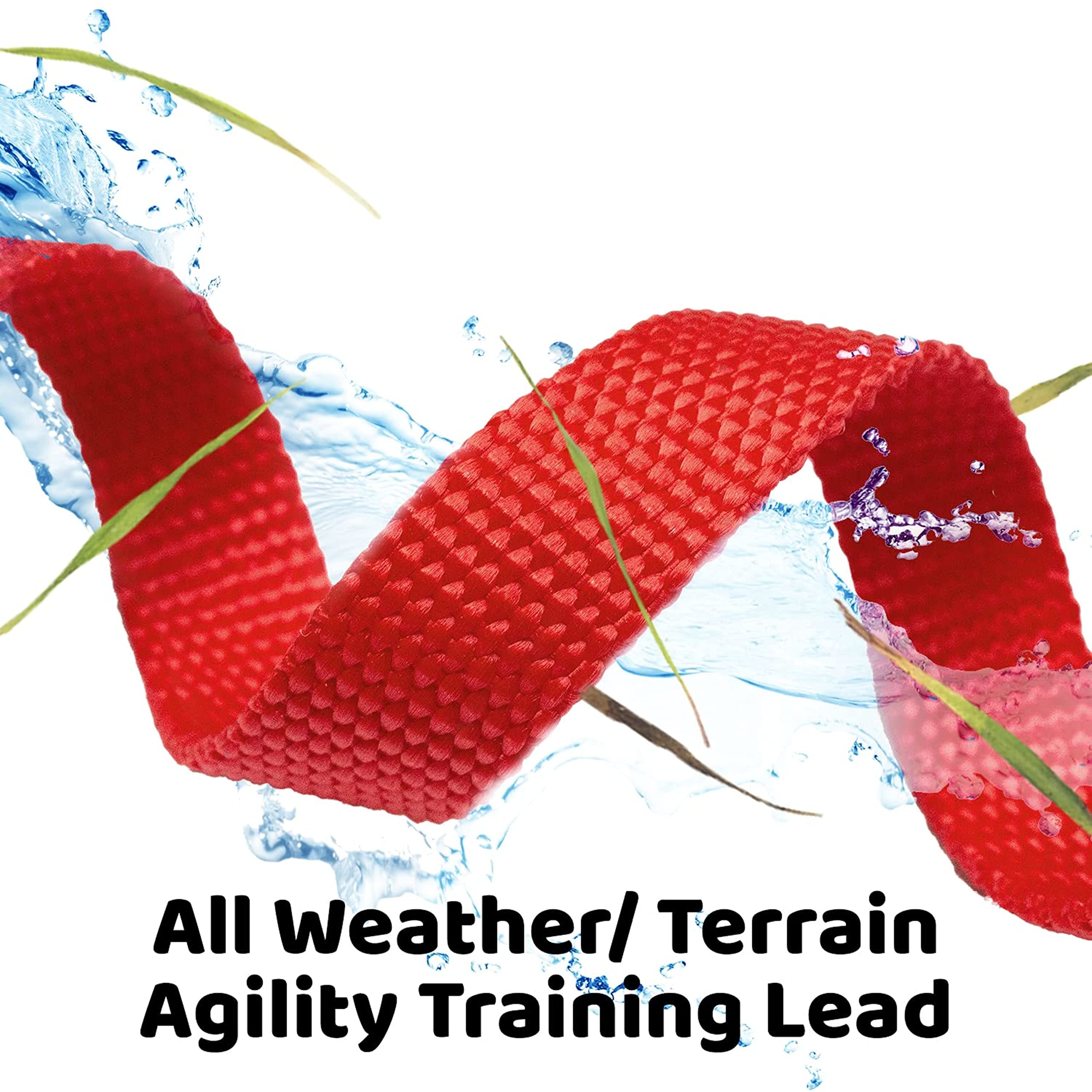 Downtown Pet Supply 100ft Long Dog Leash - Durable Nylon Training Leash for Recall & Obedience - Red Color - Perfect for Outdoor Adventures, Park Training & Hiking with Your Dog