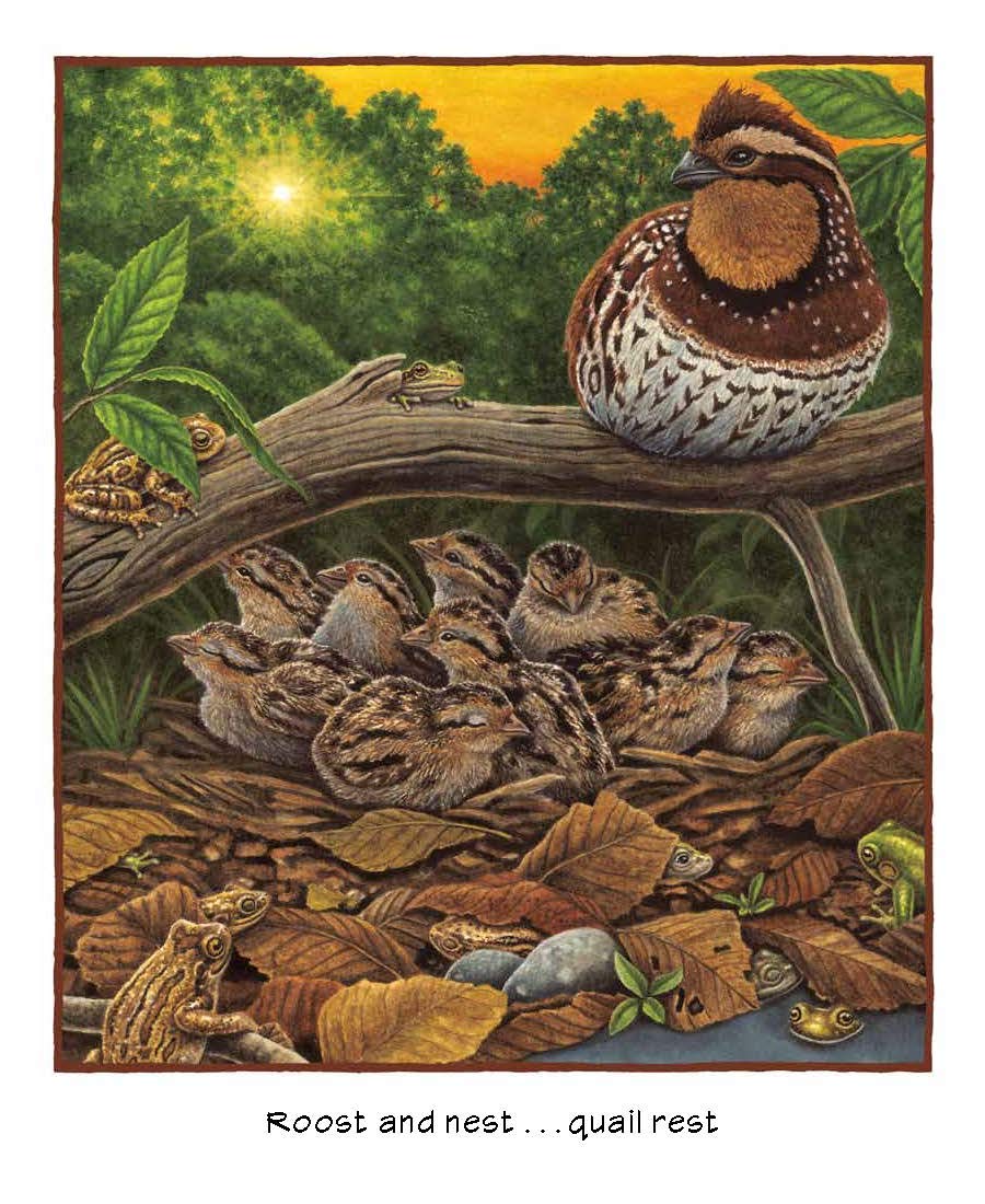Forest Bright, Forest Night - Beautiful Nature-Themed Wall Art for Home & Office Decor | Perfect for Living Rooms, Bedrooms, and Nurseries