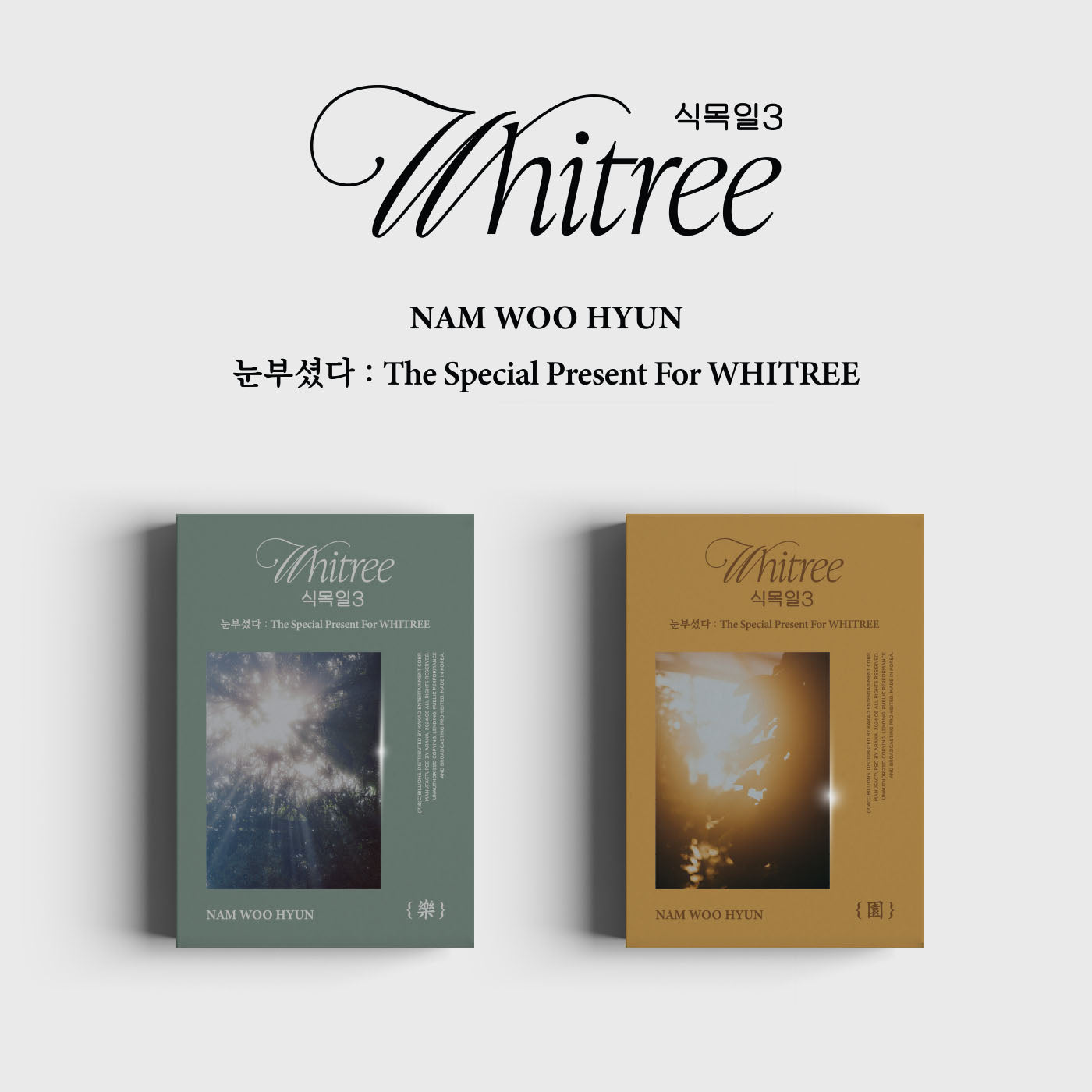NAM WOOHYUN ALBUM 'THE SPECIAL PRESENT FOR WHITREE' - K-Pop CD Gift for Fans, Perfect for Birthdays, Anniversaries & Special Occasions