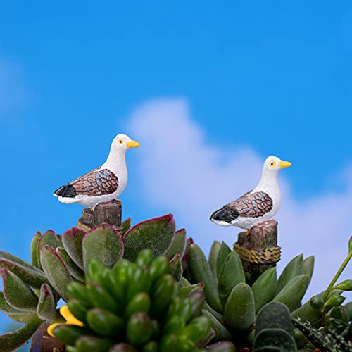 Seagulls