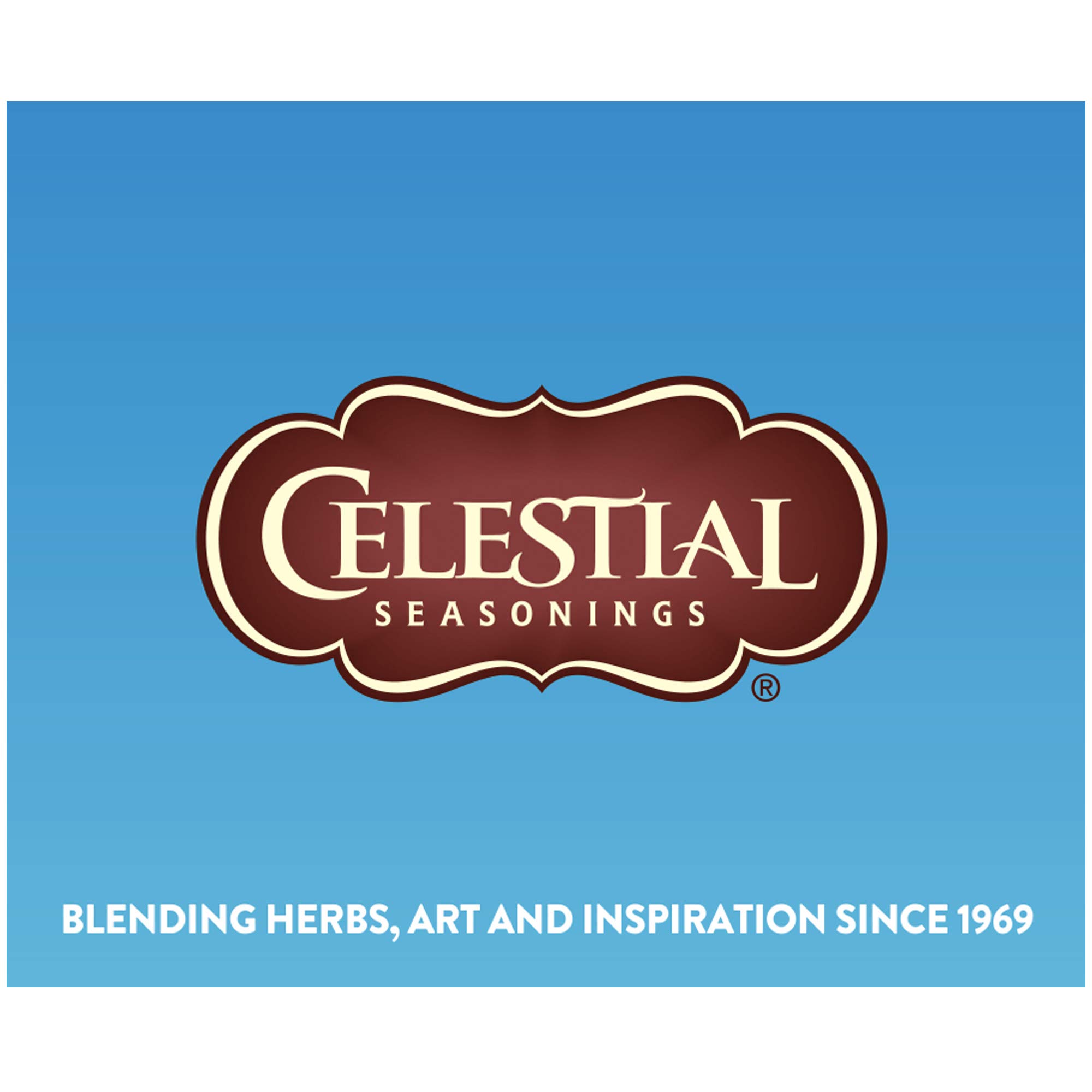 Celestial Seasonings Cold Brew Red, White & Blueberry Iced Tea Bags - 18 Count | Naturally Flavored Herbal Tea for Summer Refreshment | Perfect for Picnics, BBQs & Outdoor Activities