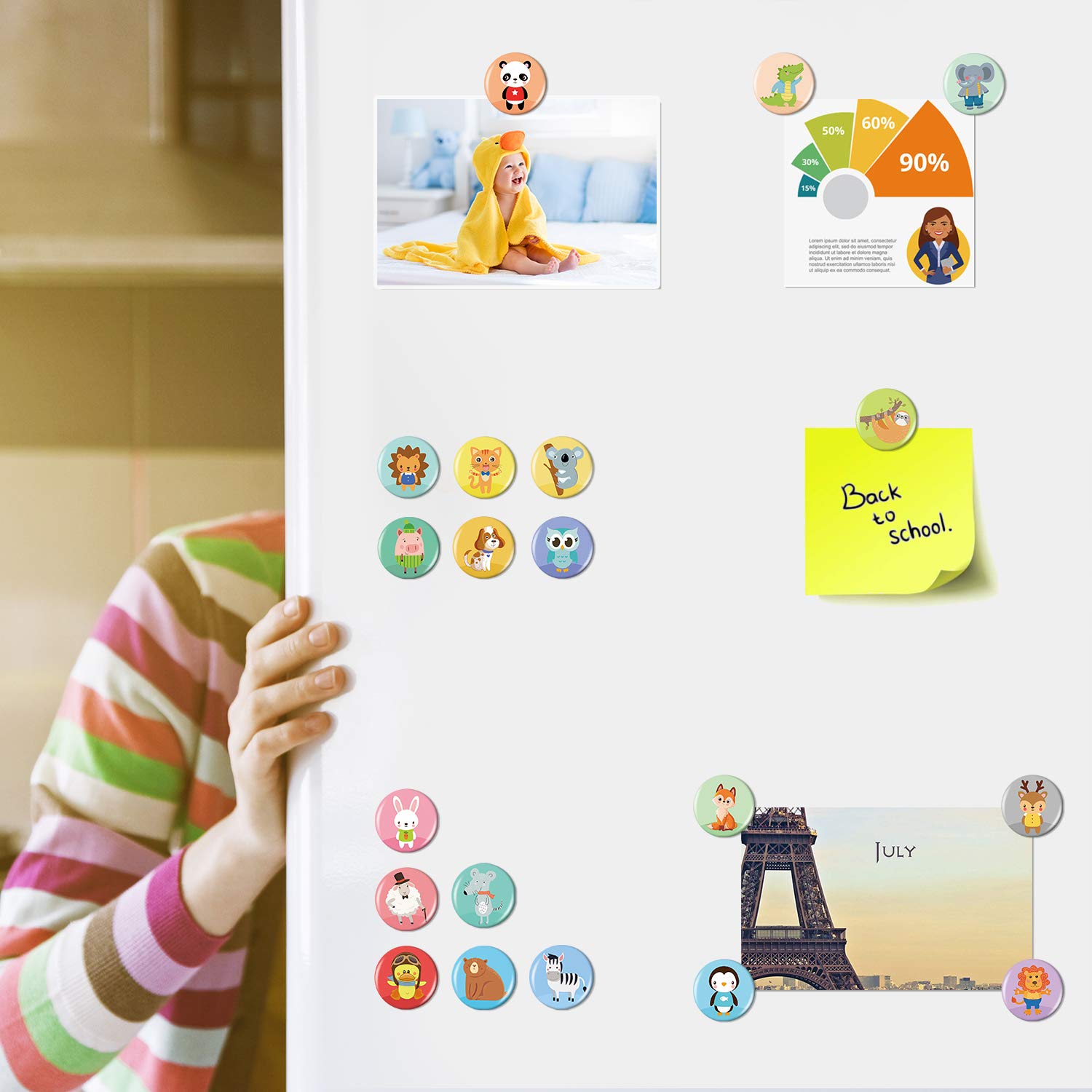 Cute Animal Fridge Magnets Set - Funny Refrigerator Magnets for Kitchen, School, Office & Whiteboard - Decorative Magnetic Gifts for Adults - Perfect for Home, Classroom & Workspace Organization