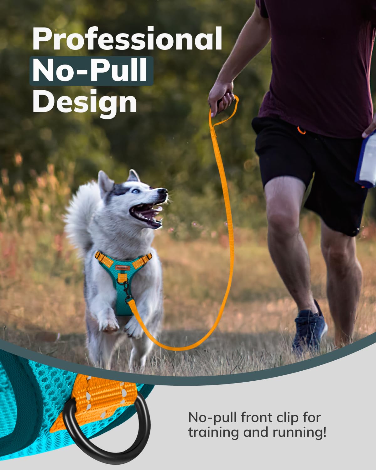 MIDOG No-Pull Dog Harness - Adjustable Reflective Pet Harness with Front Clip & Soft Padding for Small Medium Large Dogs | Walking, Training & Outdoor Adventures | Easy Control Handle for Comfort & Safety (Blue, Medium)