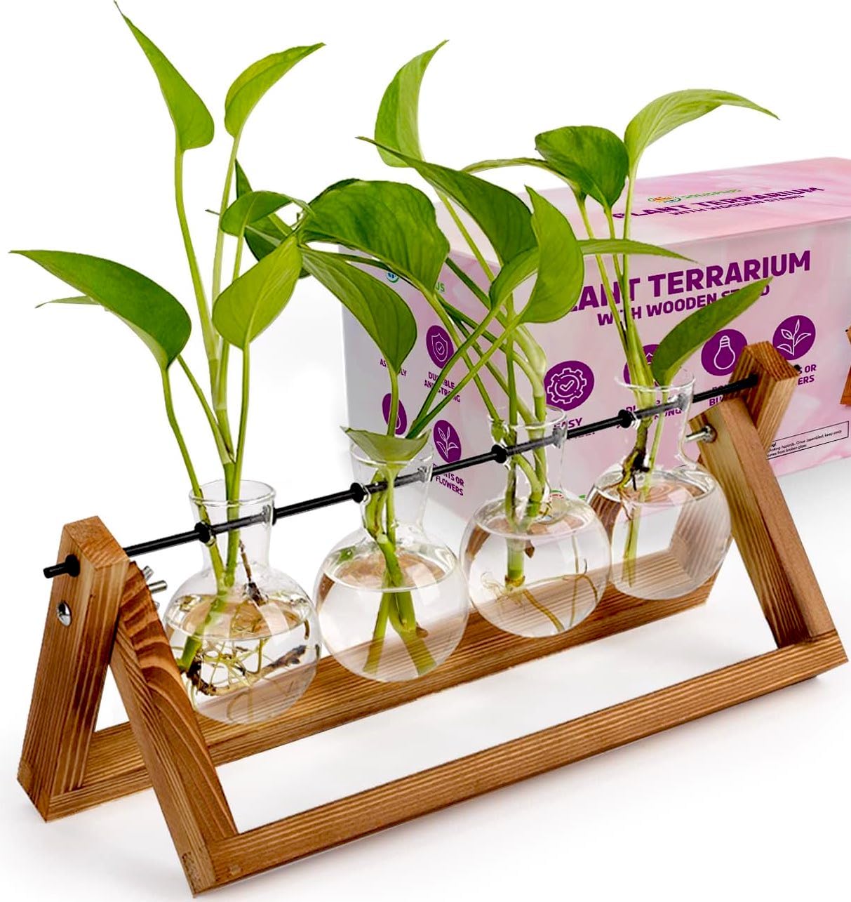 Plant Propagation Station Terrarium with Wooden Stand - 4 Glass Planters for Indoor Plants & Air Plants - Perfect for Home Decor, Office Desk, and Gift for Plant Lovers