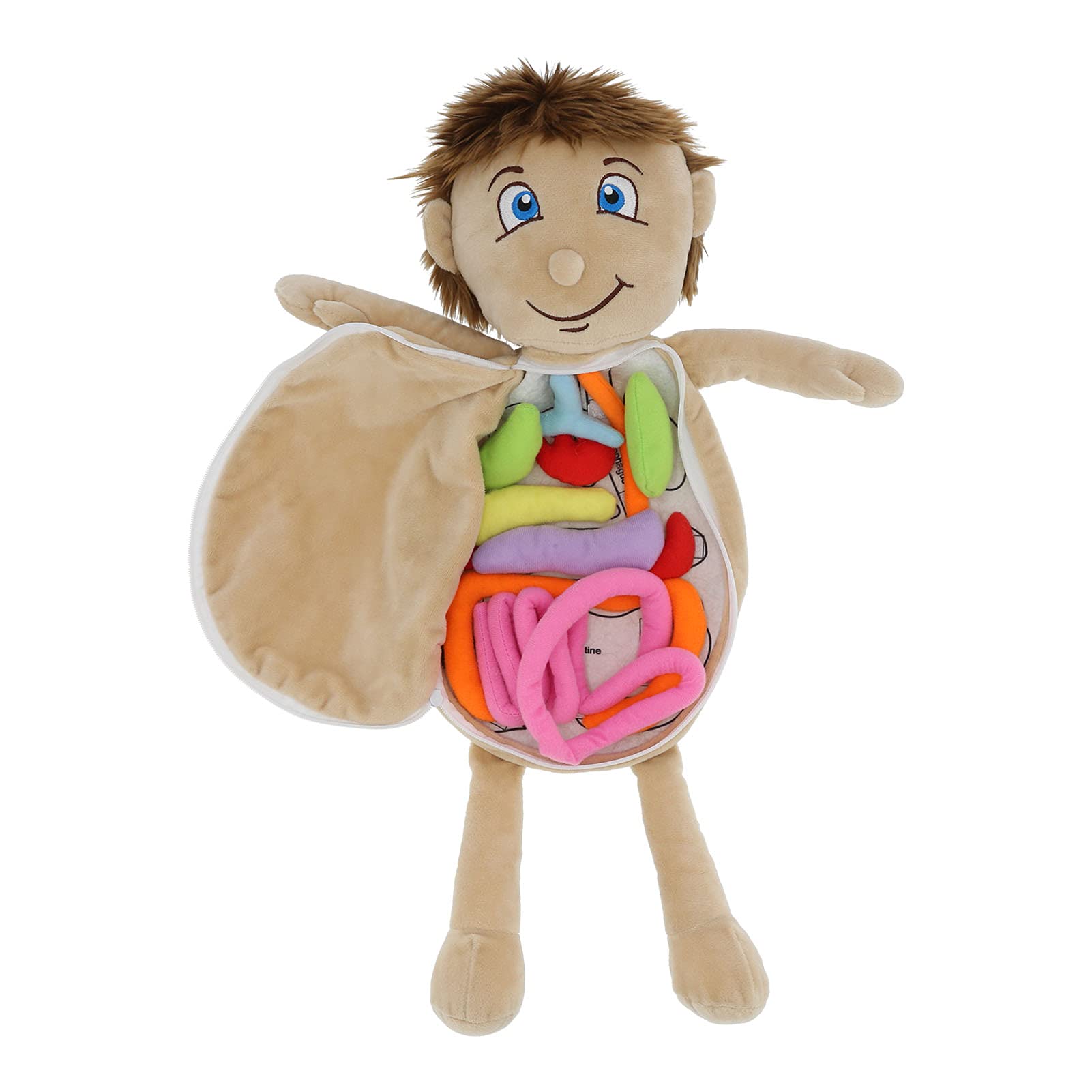 3D Human Body Organs Anatomy Learning Plush Toy - Educational Science Kit for Kids, Students & Teachers | Interactive Organ Awareness Teaching Tool | Perfect for Classroom, Homeschool & STEM Learning Activities (Human Organ Boy)