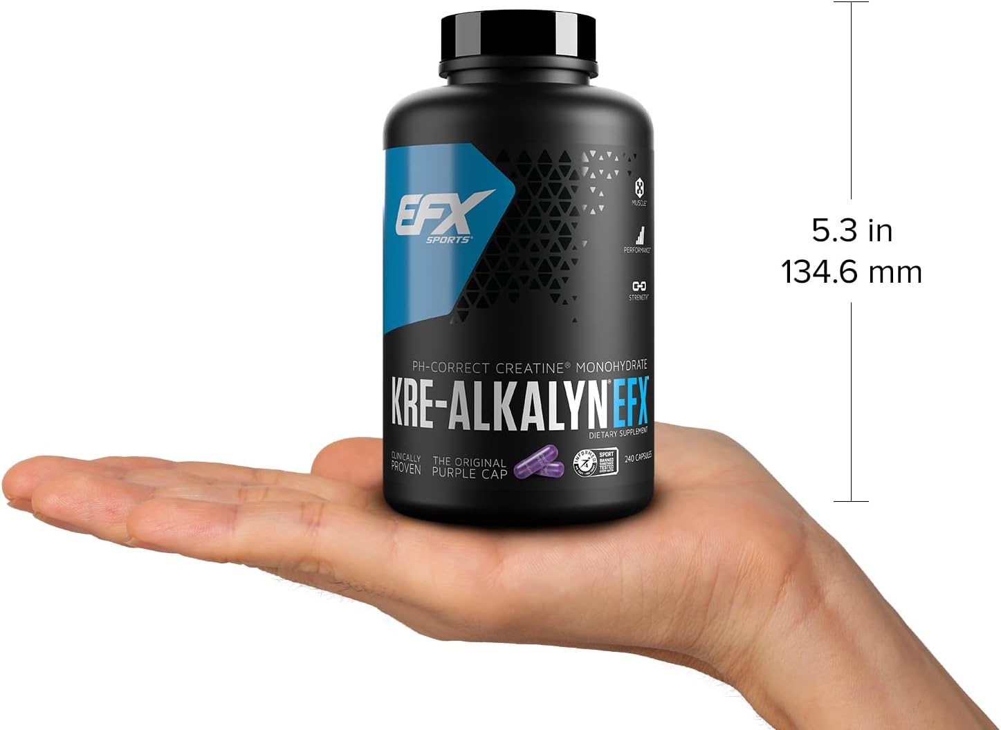 EFX Sports Kre Alkalyn 240 Capsules - Premium Creatine Supplement for Muscle Growth & Strength | Ideal for Athletes, Bodybuilders & Fitness Enthusiasts