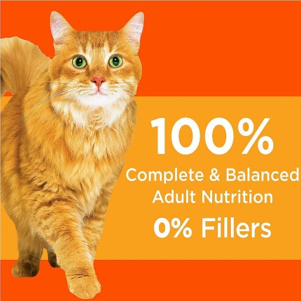 IAMS Proactive Health Healthy Adult Dry Cat Food with Chicken - Premium High Protein Kibble for Indoor & Outdoor Cats - Supports Muscle Growth & Digestive Health