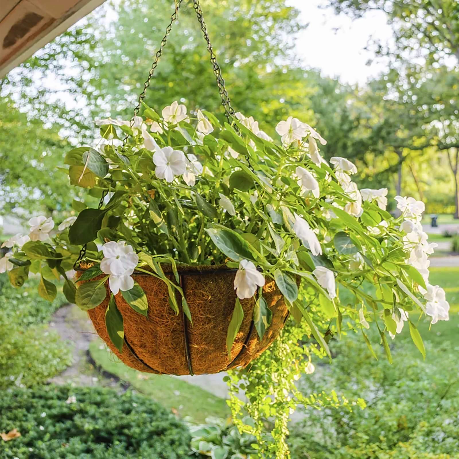 10 Inch Metal Hanging Flower Basket with Coconut Liner - Round Wire Butterfly Pattern Plant Holder with Chain for Outdoor, Patio, Lawn & Garden Decor - Perfect for Hanging Plants, Herbs & Flowers in Backyards, Balconies & Porches