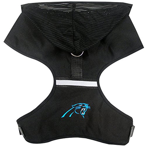 Carolina Panthers