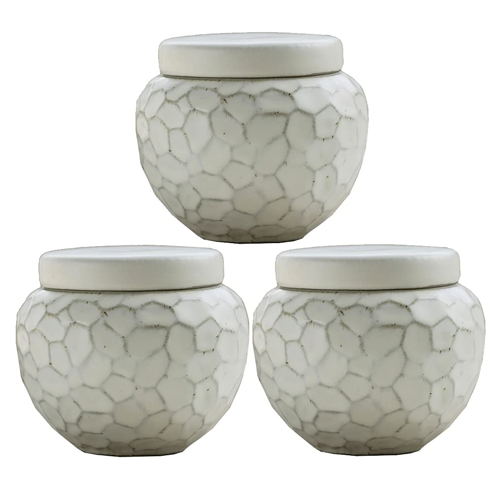 YXDO White Ceramic Food Storage Containers with Lid - 3-Piece Set for Coffee Beans, Tea, Spices & Kitchen Organization | Vintage Style Airtight Canisters for Pantry, Countertop & Home Decor