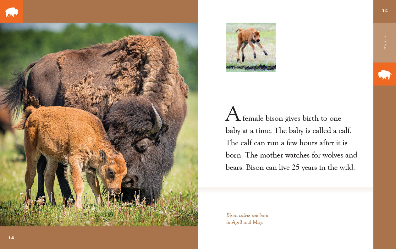 Bison Book 9781640265394 - Wildlife Education & Nature Reading for Kids & Adults | Perfect for Classroom Learning & Home Library
