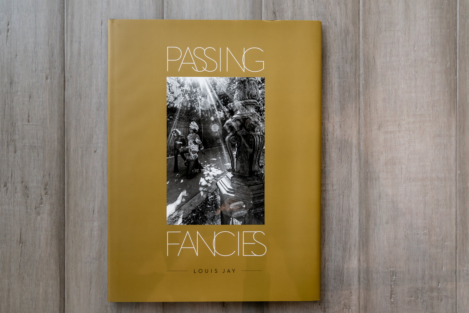 Louis Jay: Passing Fancies - Signed Artwork 2018 | Modern Wall Decor for Home & Office | Perfect Gift for Art Collectors