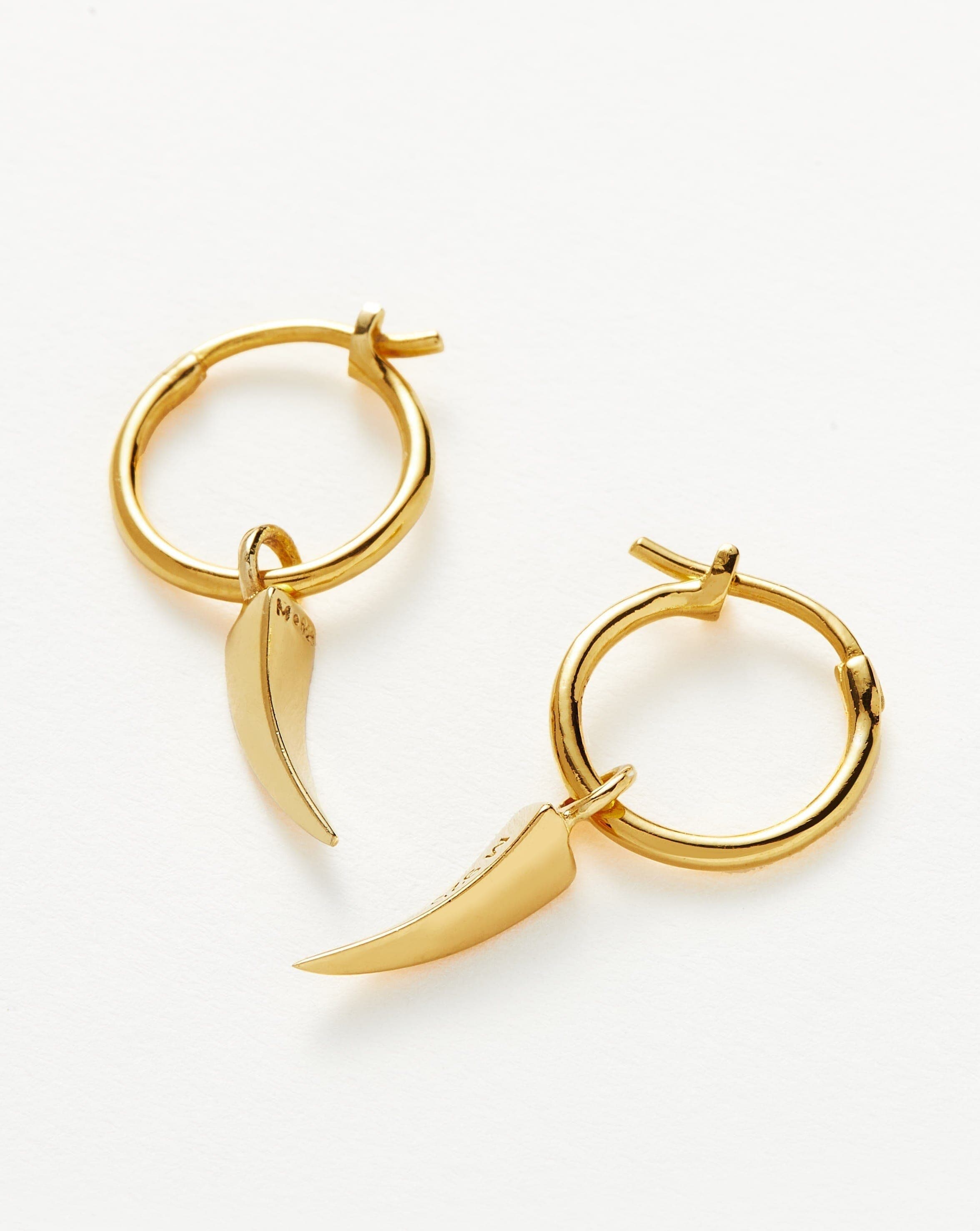 Mini Claw Charm Hoop Earrings for Women - Trendy Gold & Silver Small Hoop Earrings with Unique Claw Design - Perfect for Daily Wear, Parties & Gifts